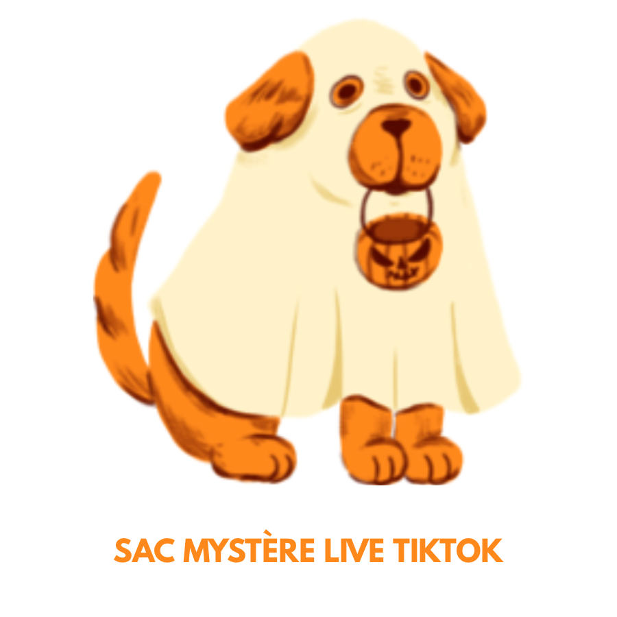 SAC MYSTÈRE