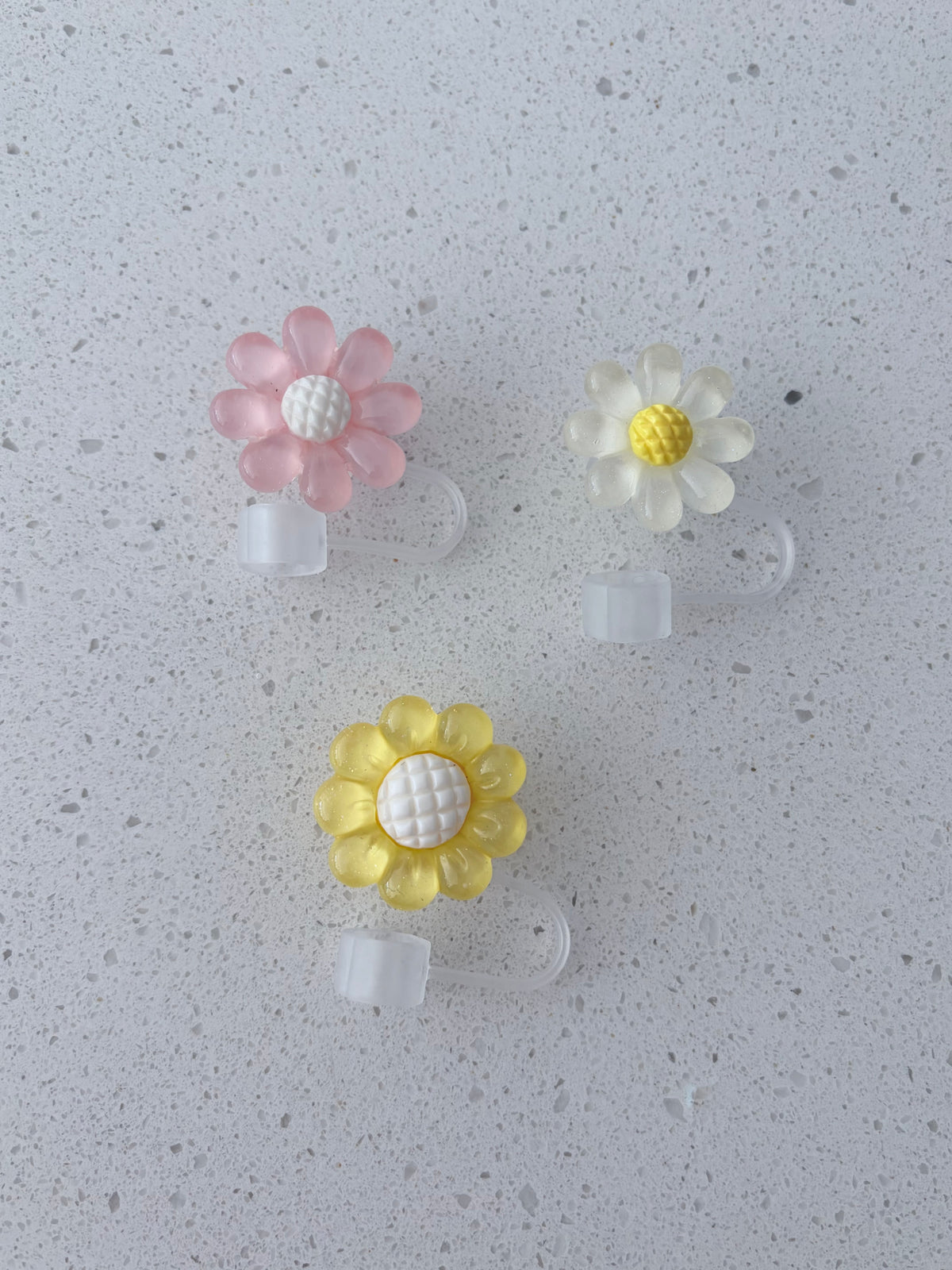Cache-paille : Marguerites