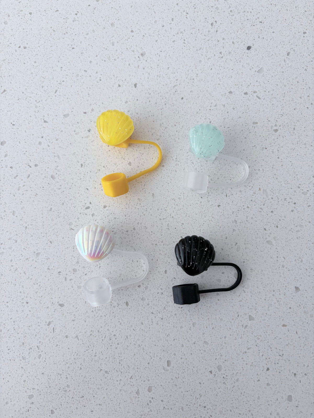 Cache-paille : Coquillage